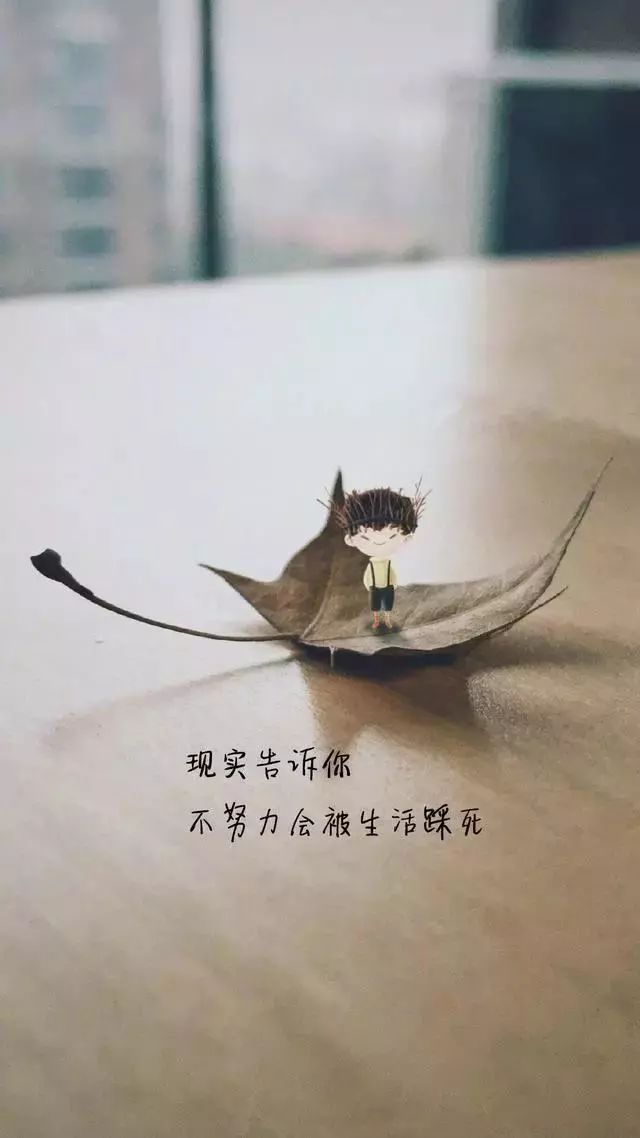 适合发朋友圈的句子,从今往后走马观花不谈感情,一心赚钱无他念