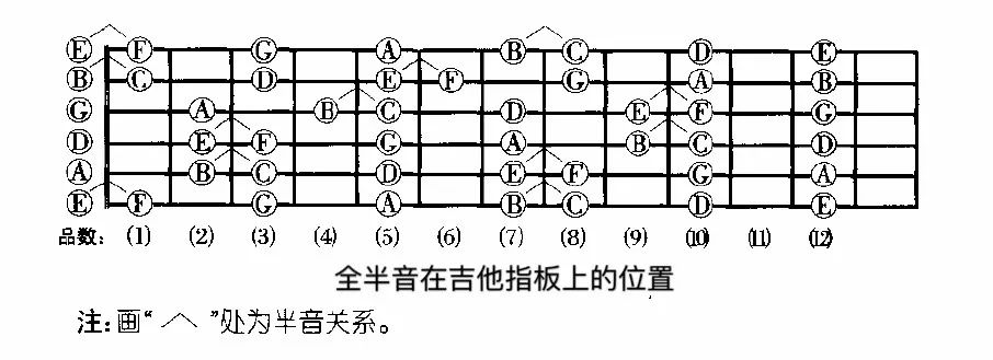 弹吉他要学乐理吗