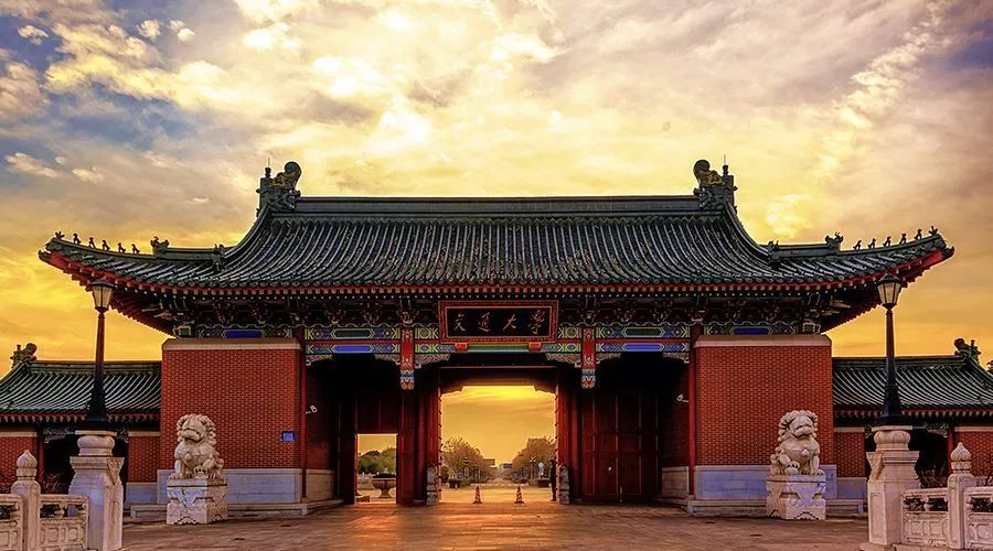 中得到了什么启发?