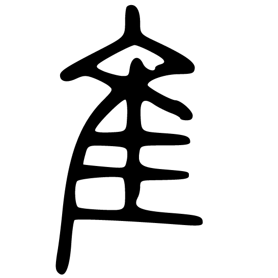 【聊聊汉字】隹(zhuī & cuī & wéi)