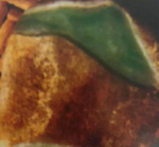 ��ȫ���ԭʯ֪ʶ�������ԭʯ���ڴ�ȫ֪ʶ