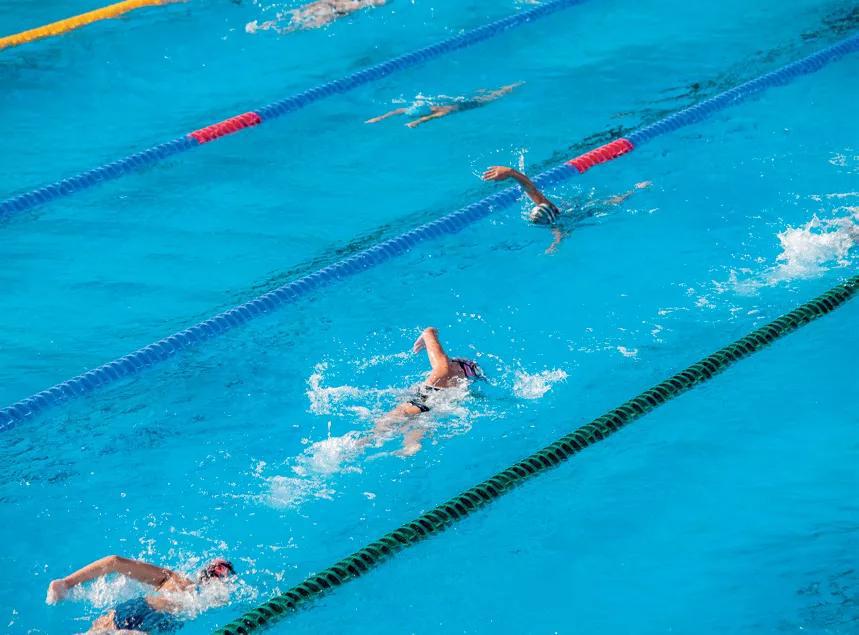 猎人荒野的呼唤