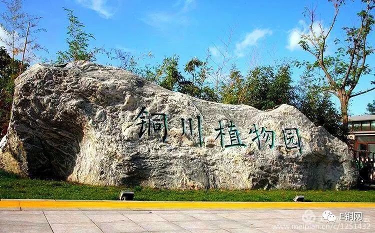 铜川植物园 纳凉好去处