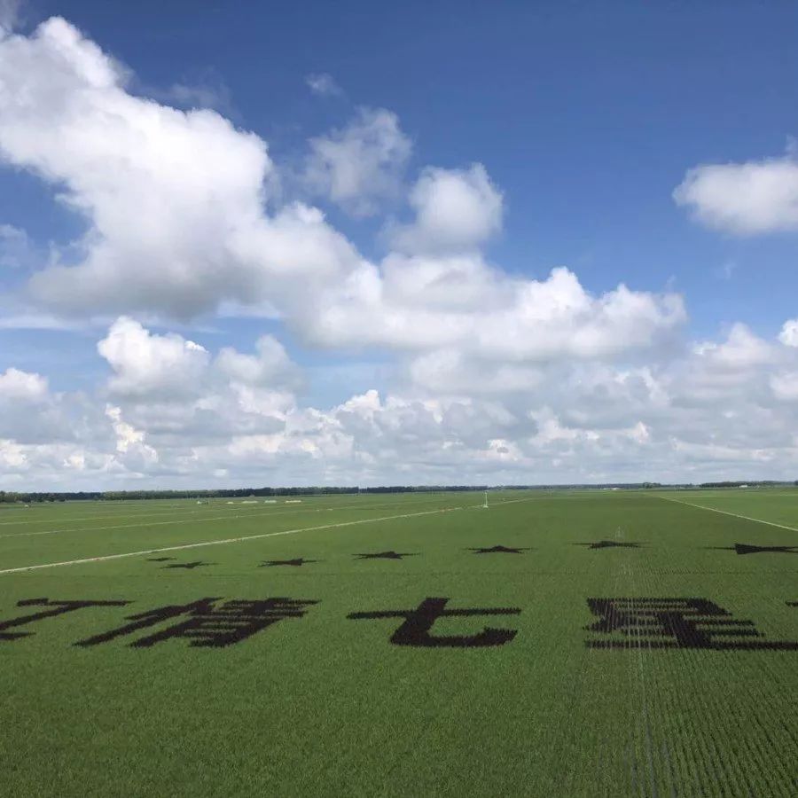 还有屈哥带队去的远方北大荒,通过扯老空报名立减200!约起