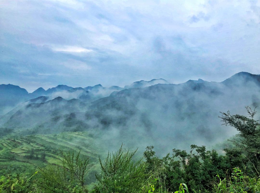 空山新雨后,画廊里成为最美的人间仙境.