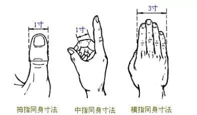 【每日一穴】：肘髎穴