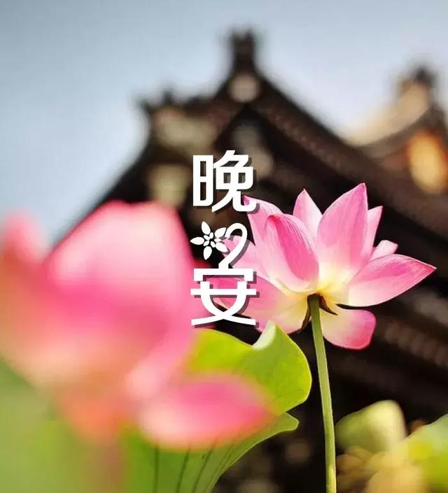 199a8a51919a4b308edc5076a652e944.jpeg