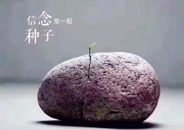 ȴûԼľ;ҪֻһЩԼ,