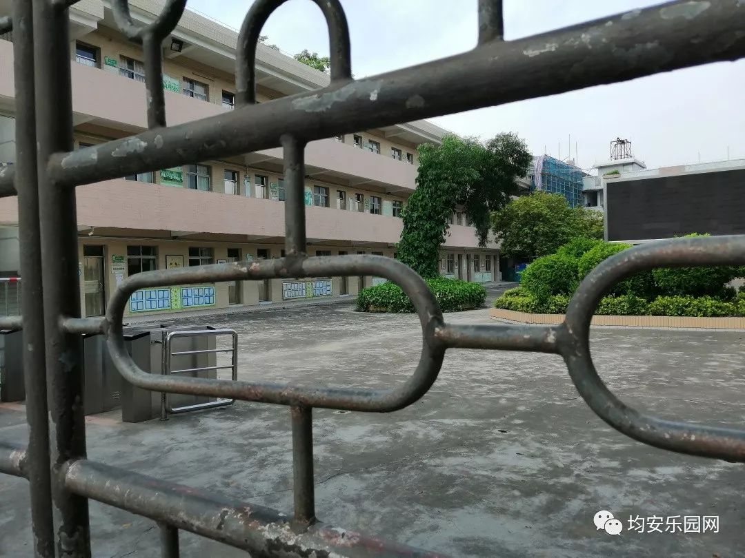 视频图片探美均安新华村