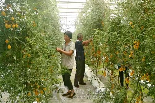 邓州经济总量_邓州地图(3)