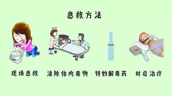                    外婆用偏方给孙女洗了个头，几分钟后女孩就头晕呕吐，竟然中毒了