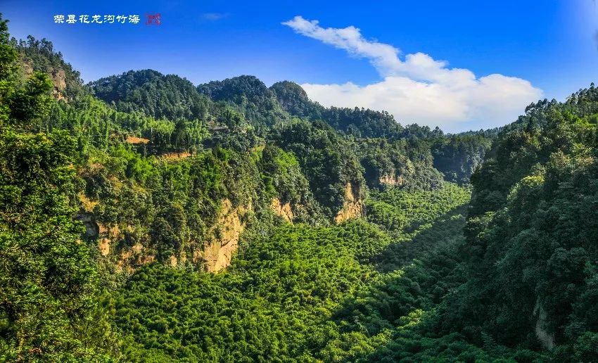 花龙沟竹海位于荣山镇八行村,北与铁厂镇芭茅村连界,西与高石梯