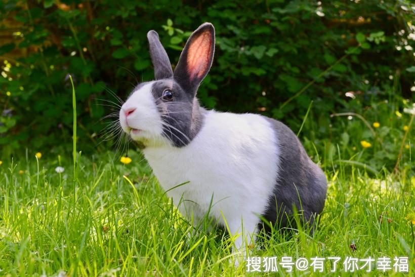 37cb6cb49a6b4526ab6919c57aea1c6a.jpeg