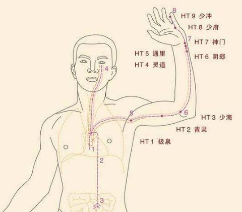 按摩方法: 可沿着手臂内侧面,逐渐向下搓揉至手腕,以发热为度.