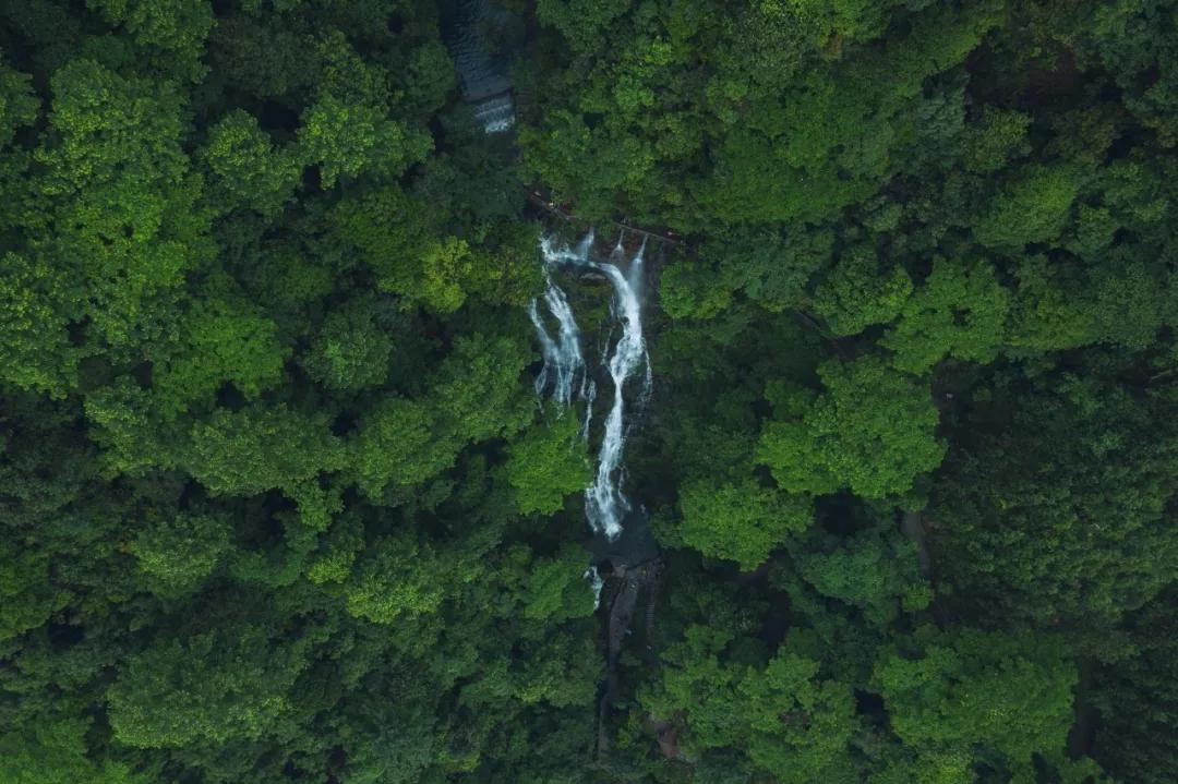 管家婆论坛