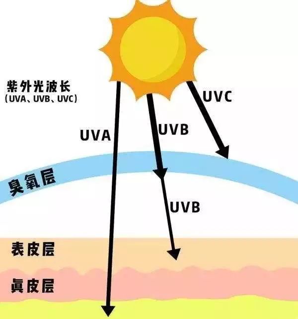 uva 长波紫外线,可以透过玻璃,能穿透皮肤的表皮到达真皮浅层