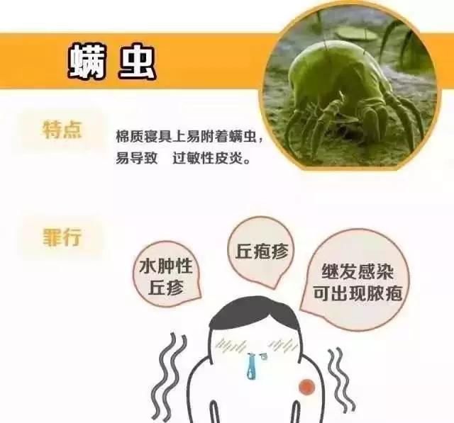 被影子虫咬了怎么办