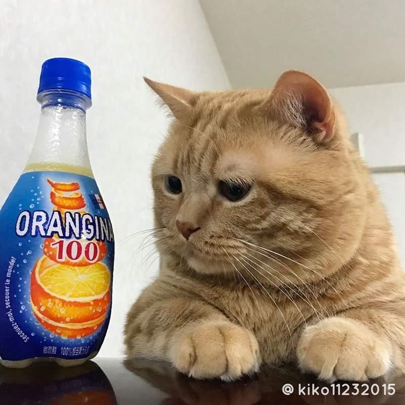 4ee6c51a4d254516933166b1133a701c.jpeg