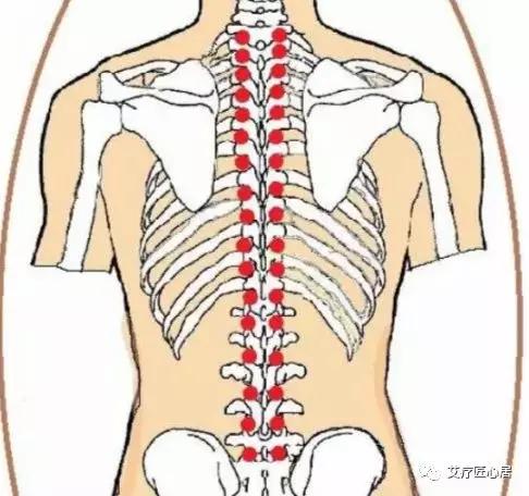 乳腺灸疗秘法(上):以三焦为定位,以任督为中轴.你绝对