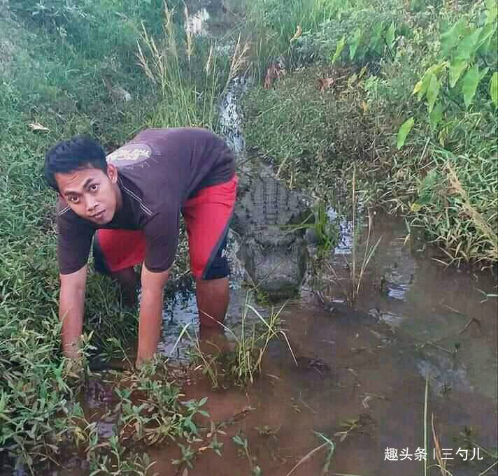 搞笑动态趣图GIF:危险就在身后 九州手机娱乐官网网址