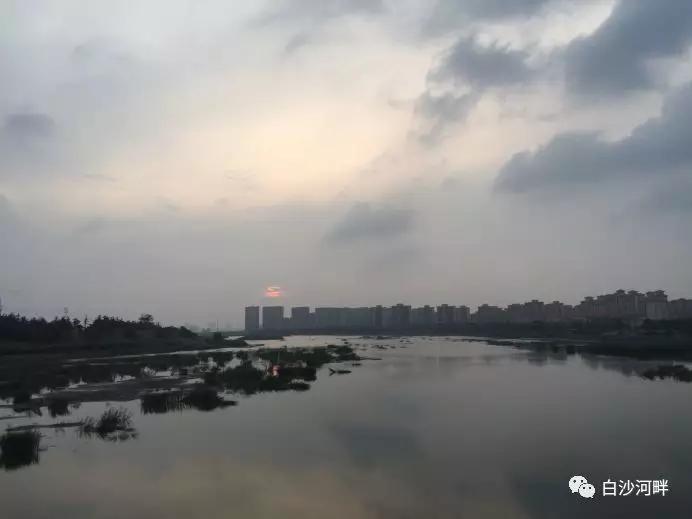 沙河市有多少人口(2)