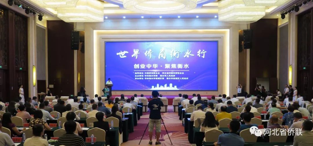 2019年衡水经济总量_衡水2020年新规划图