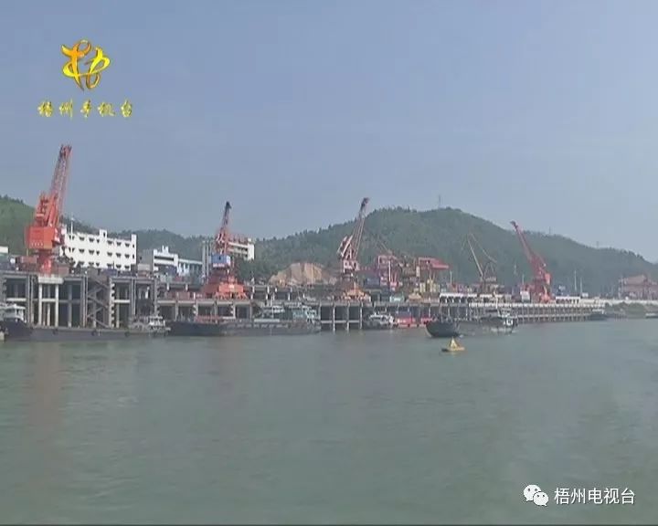 梧州2019年上半年经济总量_广西梧州2030年规划图