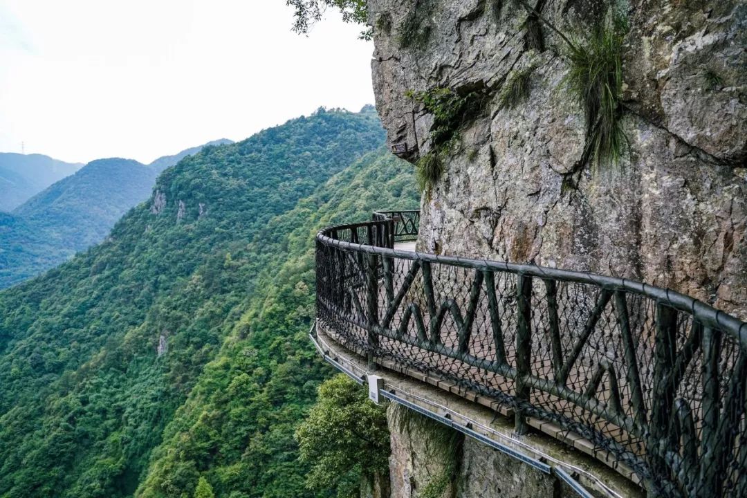 悬空栈道 据说是全浙江最长的