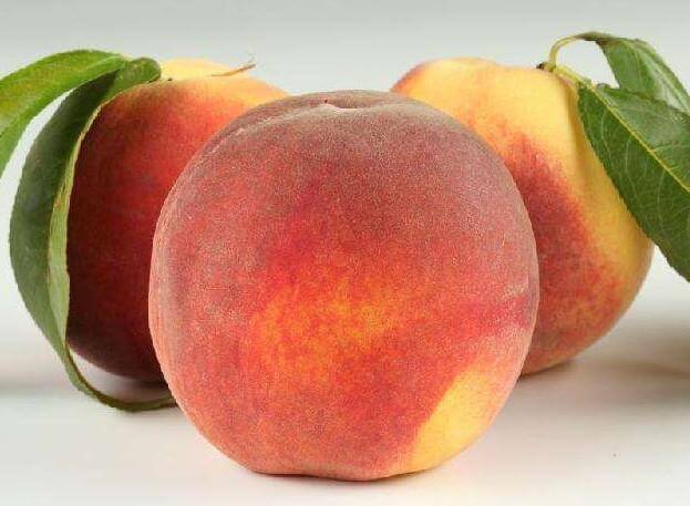 桃子怎么挑才好吃 73dbb03911774f7082d0954a524764b9.jpeg