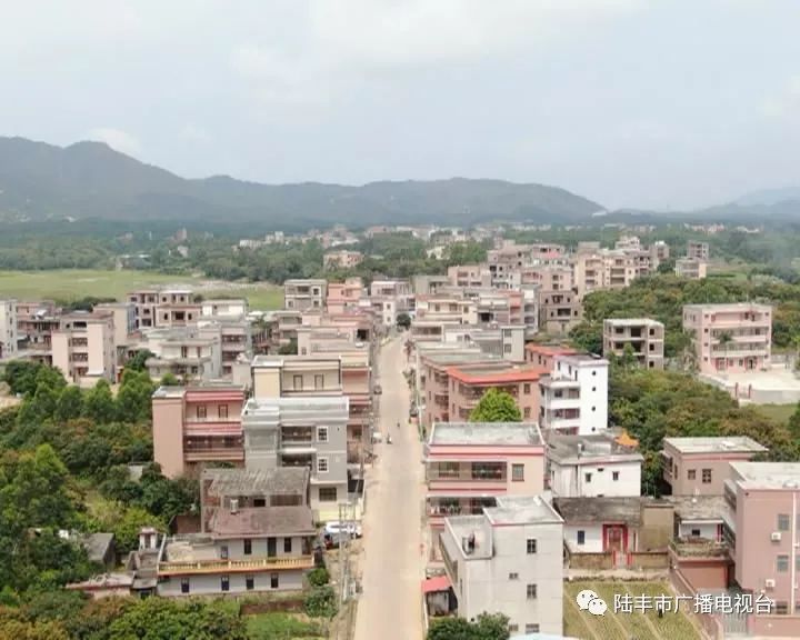 来源:陆丰市广播电视台 . .