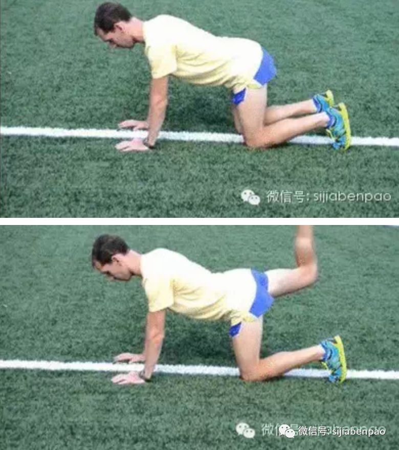 平板支撑的正确知识 87904a1ead974e0db749a267a7531b4d.jpeg