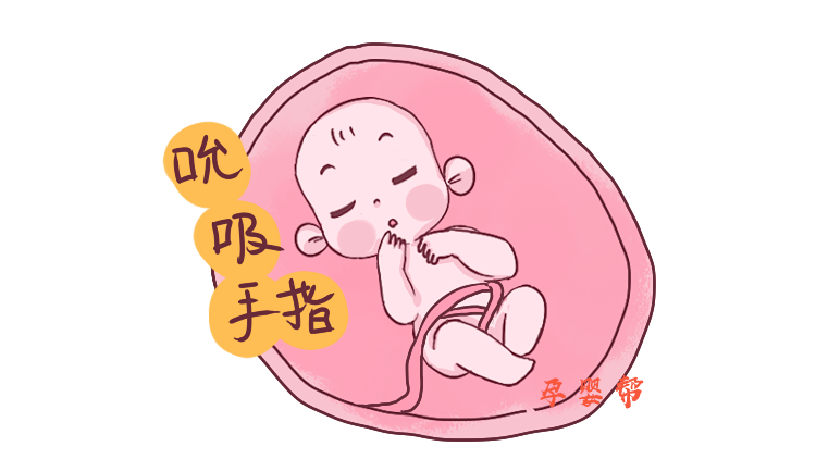                     孕6月肚中总“咕咕砰砰”的响？别怕，是胎宝在做这3件可爱的事