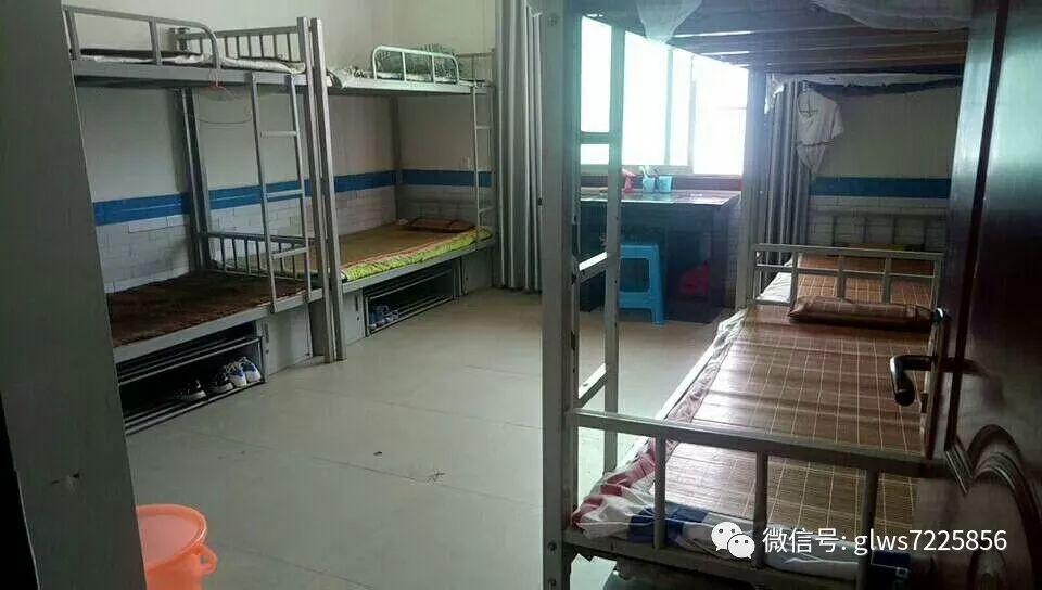 快点看,有你家小孩没得,暑期这个月他们在天豪武校干什么