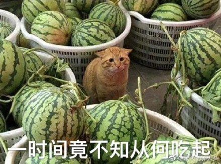 91b3fed82924463694eae0724f2dfe86.jpeg