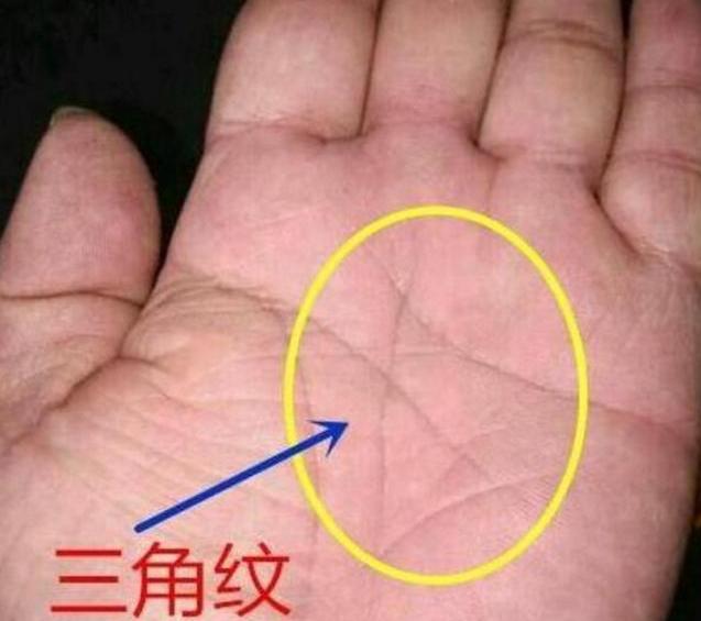 有"这纹"的男人手相,不怕没有财富,命藏暗财,只是早晚