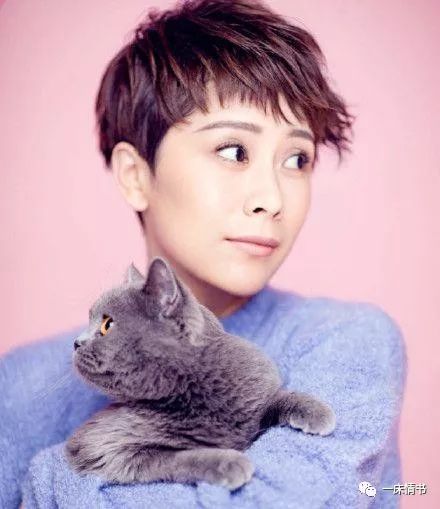 耍大牌,带编剧进组,国民媳妇海清为何一夜之间