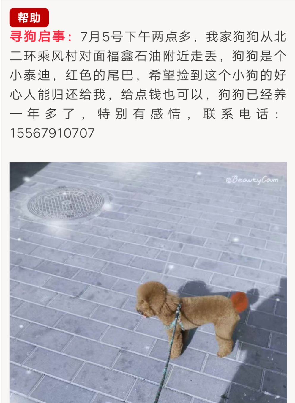 所以爱它就请看好它,不要让它无家可归.为作文话题以教育高中图片