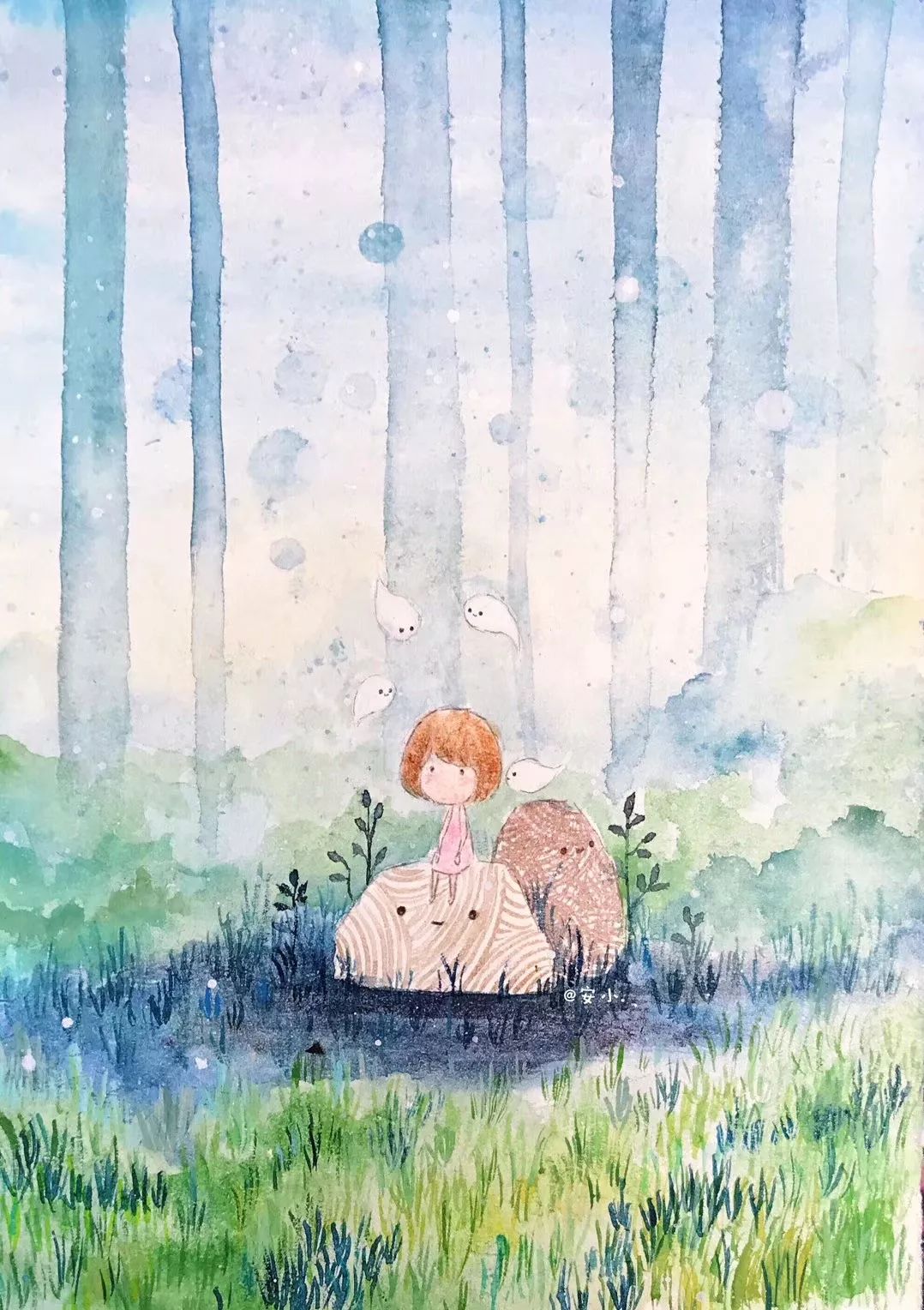 视觉体验 | 鲸落