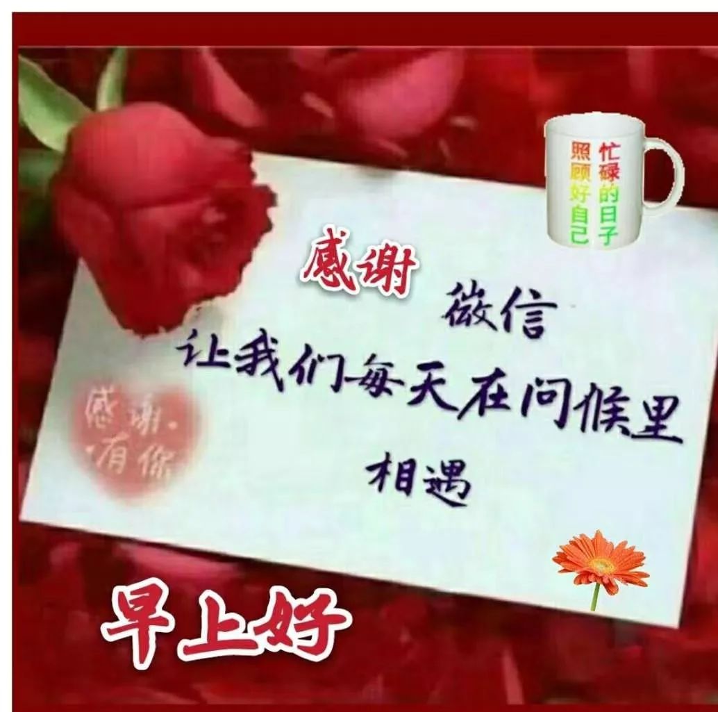 发"早上好"之类的表情图片,有问题吗?