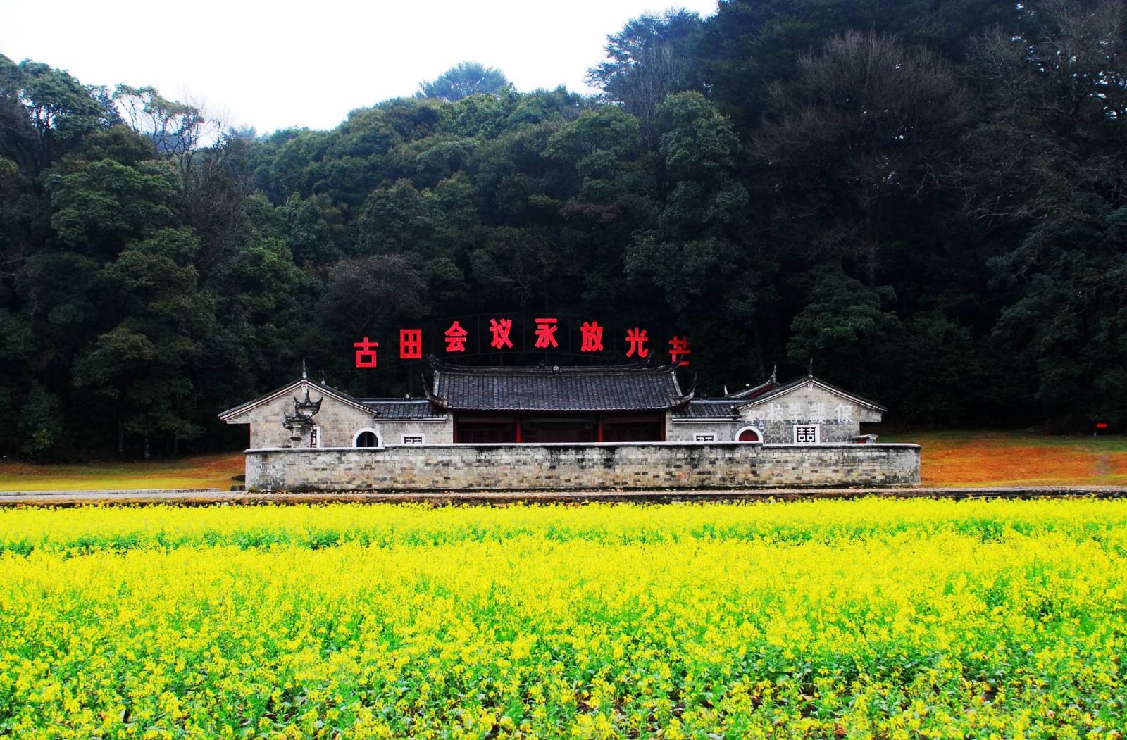华为前高级副总裁胡彦平推荐《古田会议决议》