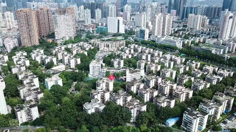 今年深圳最大棚改小区南华村15天个人企业住宅签约996
