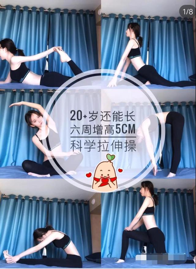 被下架的小H书,还能起死回生吗?