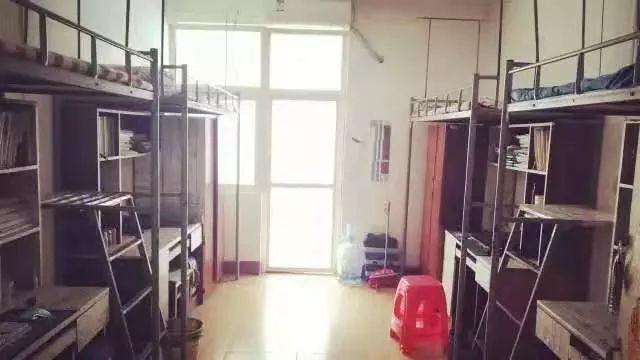 免费上大学,工作不用愁,全市寻找有这方面才能