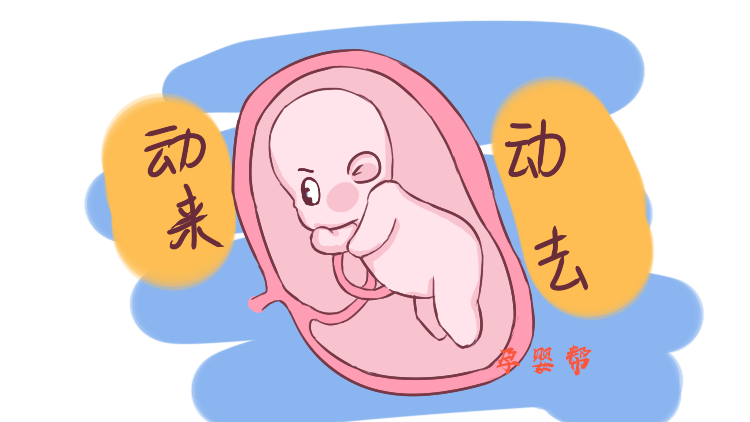                     孕6月肚中总“咕咕砰砰”的响？别怕，是胎宝在做这3件可爱的事