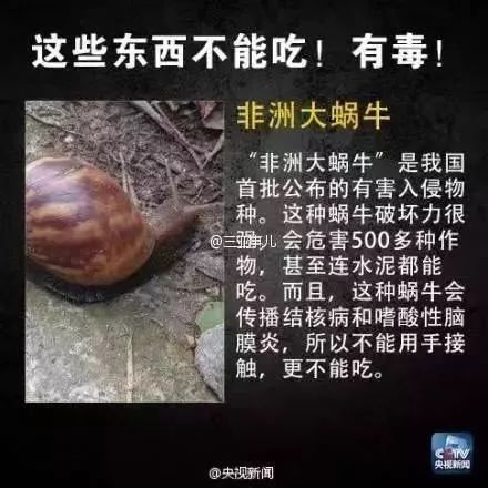 eb42aed213be4f25b83645d3d8a14463.jpeg