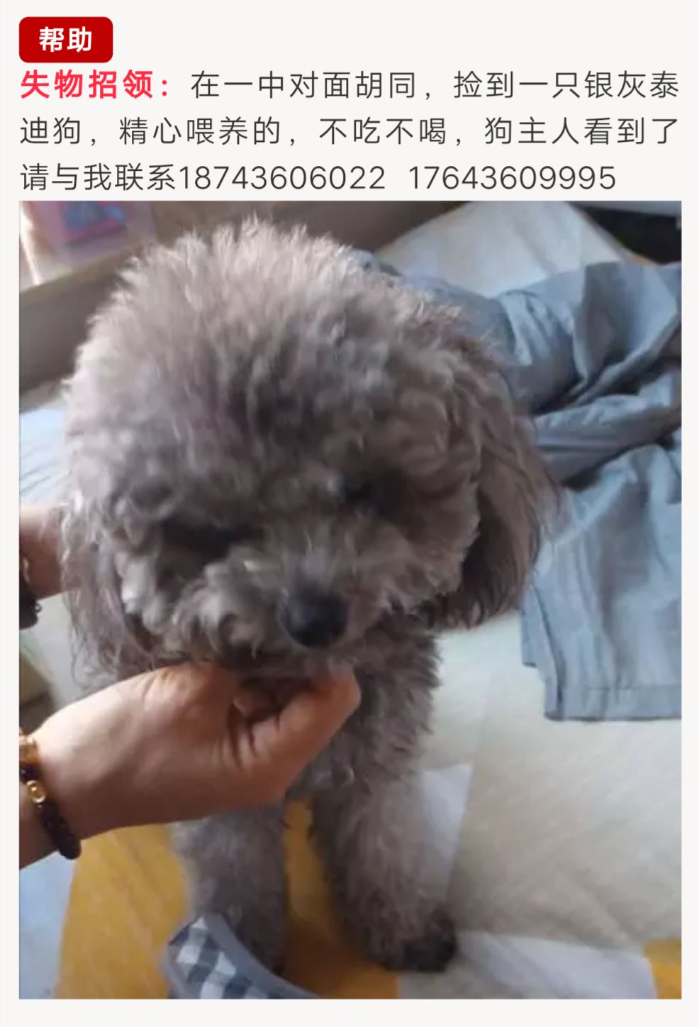 所以爱它就请看好它,不要让它无家可归.高中成都校服树德图片