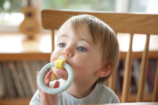 怎么教宝宝吃牙胶 08acbc470c23404295b6242c2aff2eea.jpeg