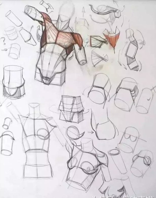 人体结构速写解析