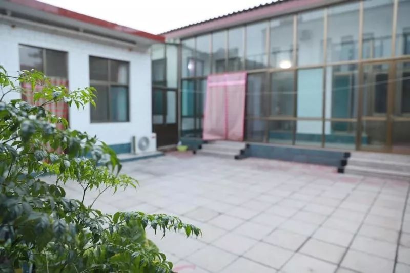 邢台桥西1467个美丽庭院打擂台快来看这些庭院实图