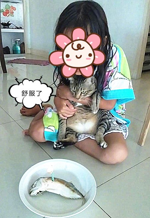 猜成语 猫生_看图猜成语(3)